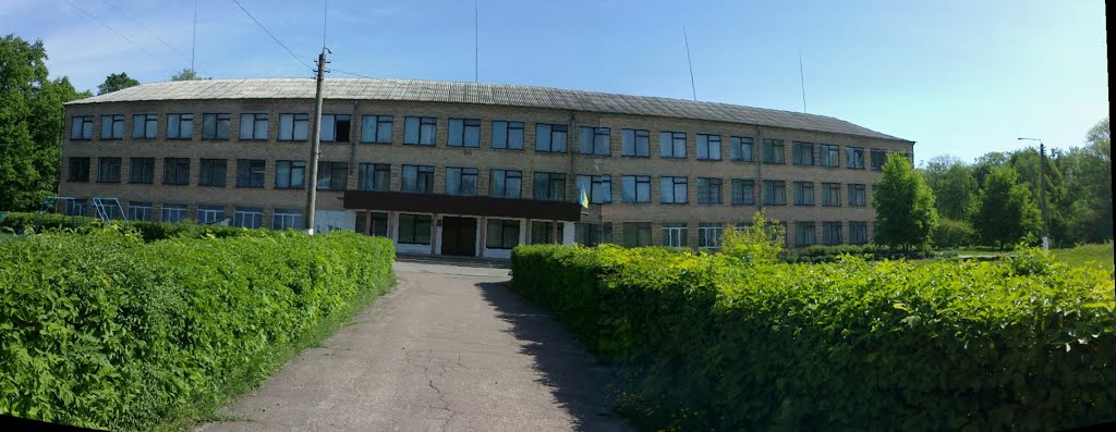 School