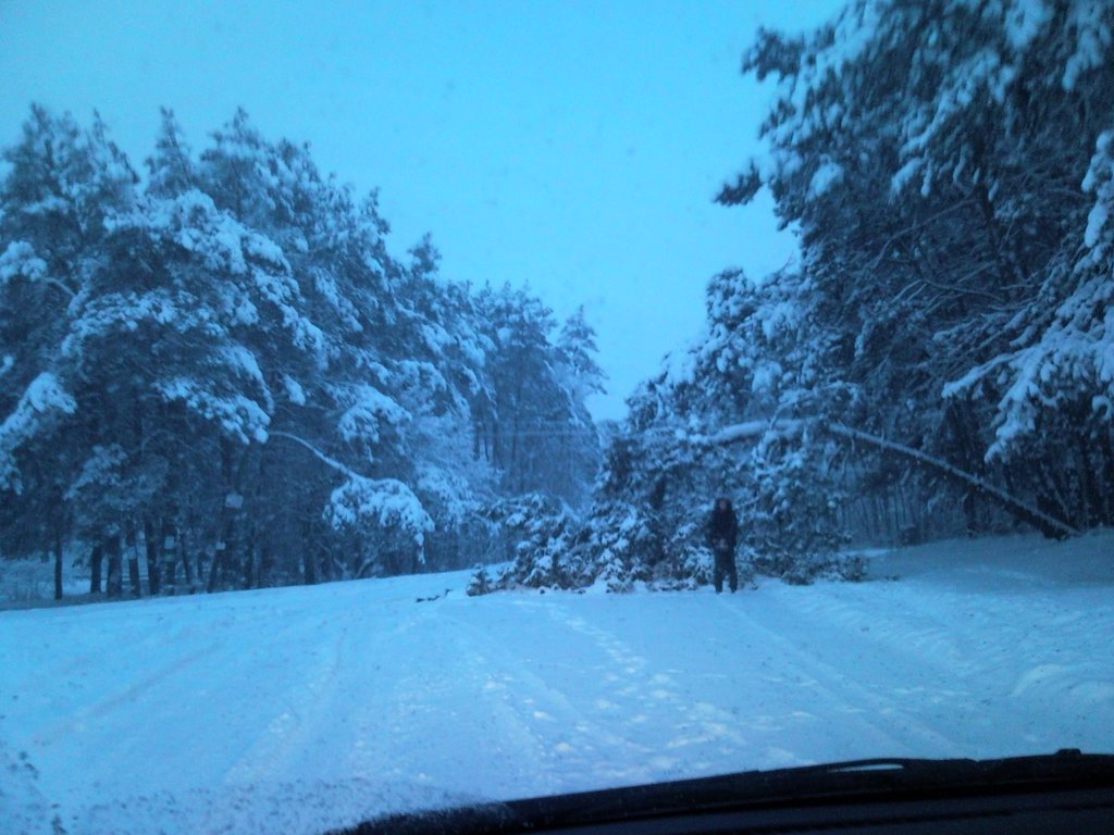 entry to the road