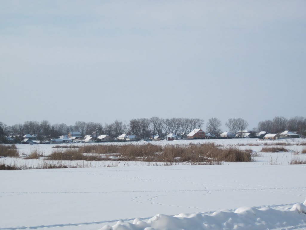 зима
