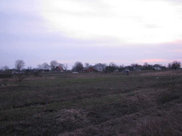 Огороди