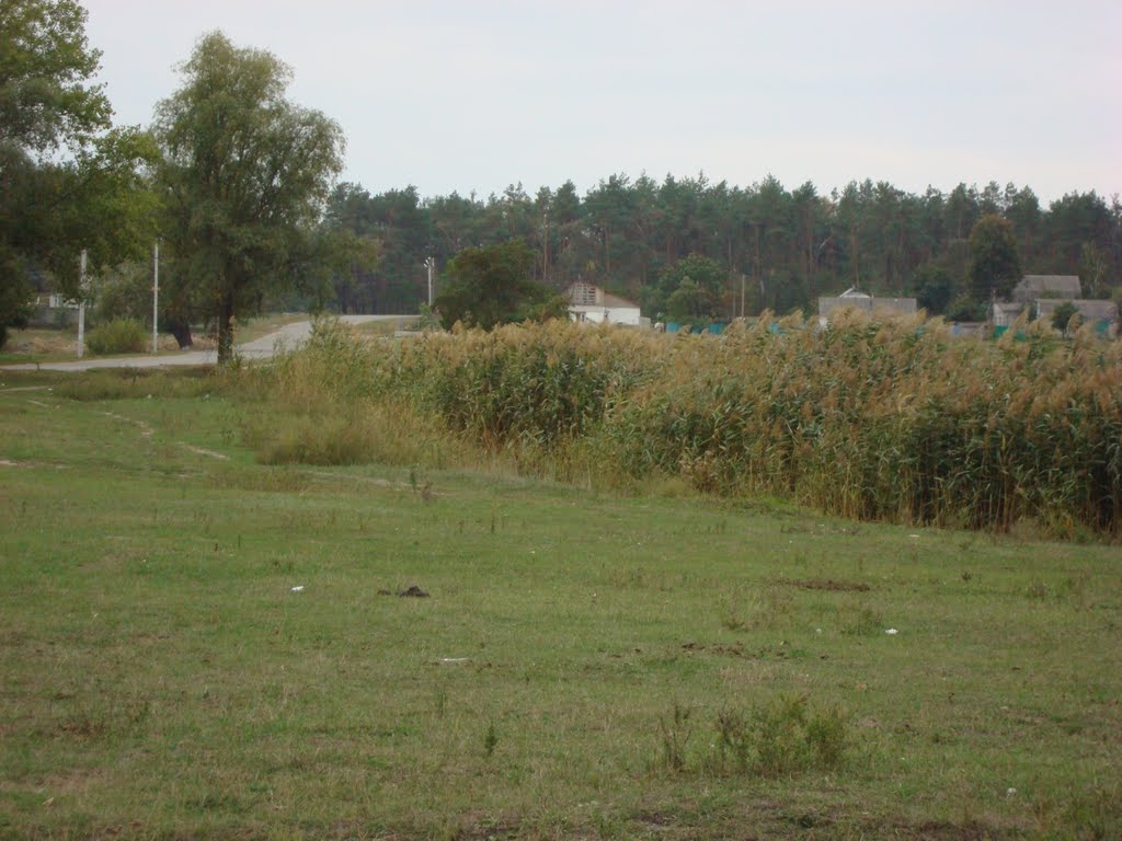 дорога з села