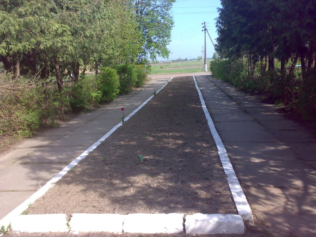 ивк