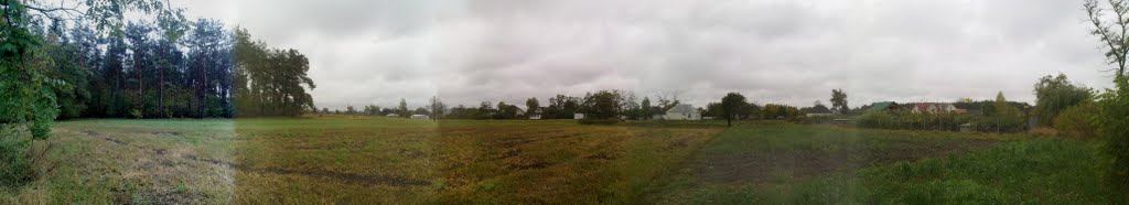 Ivankiv