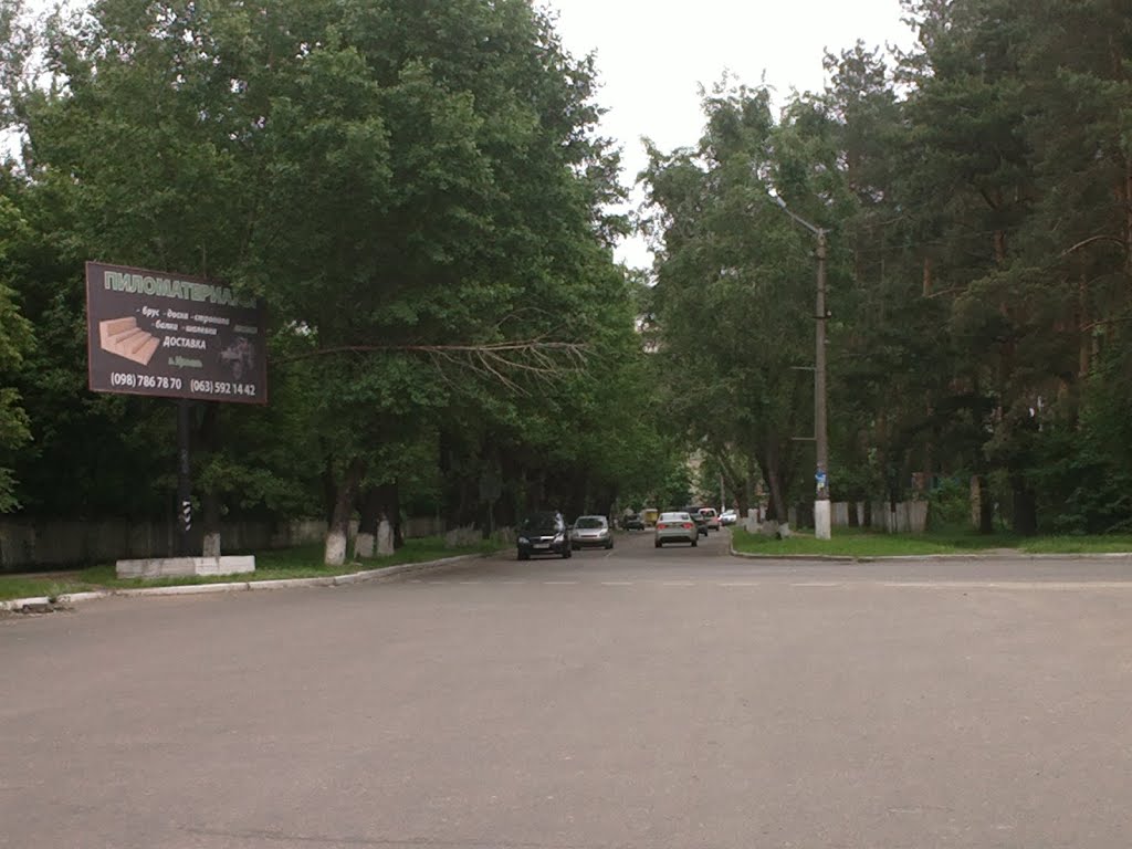 Kotlyarevskogo St.