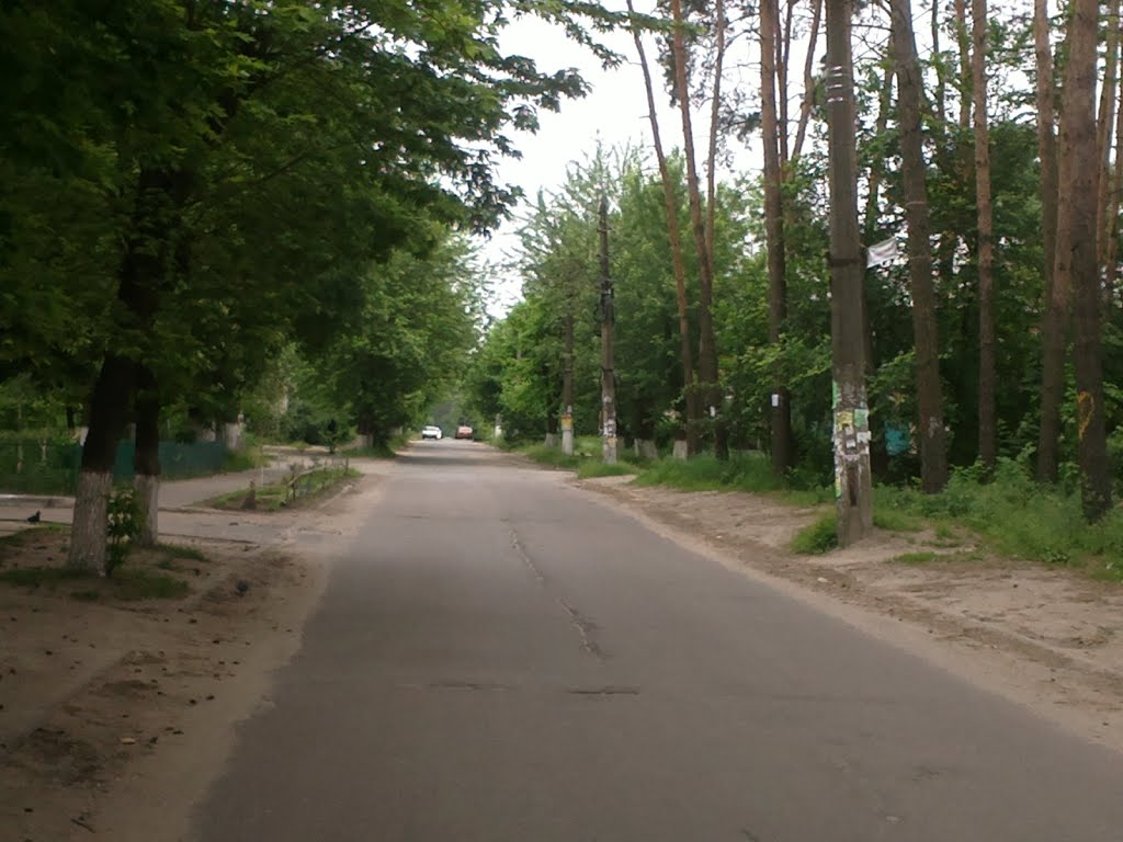 Dzerzhynskogo St.
