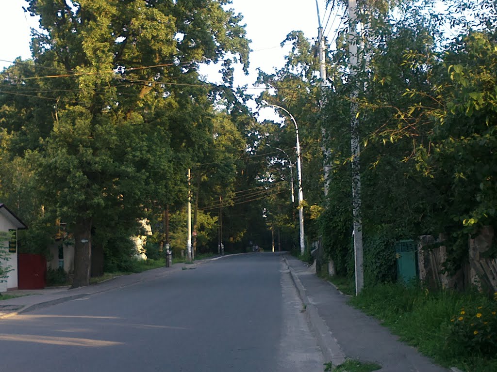 Stepanivska St.