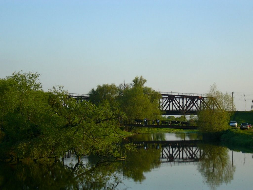 Walk and railway bridges in Irpen river