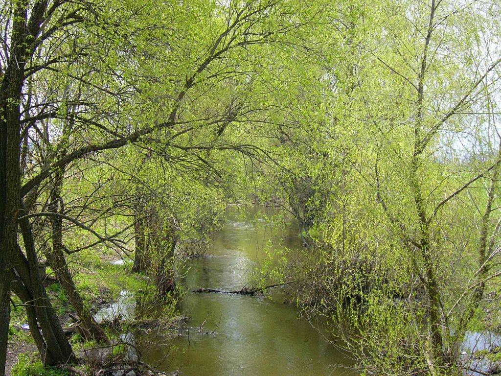 Green_Buchanka