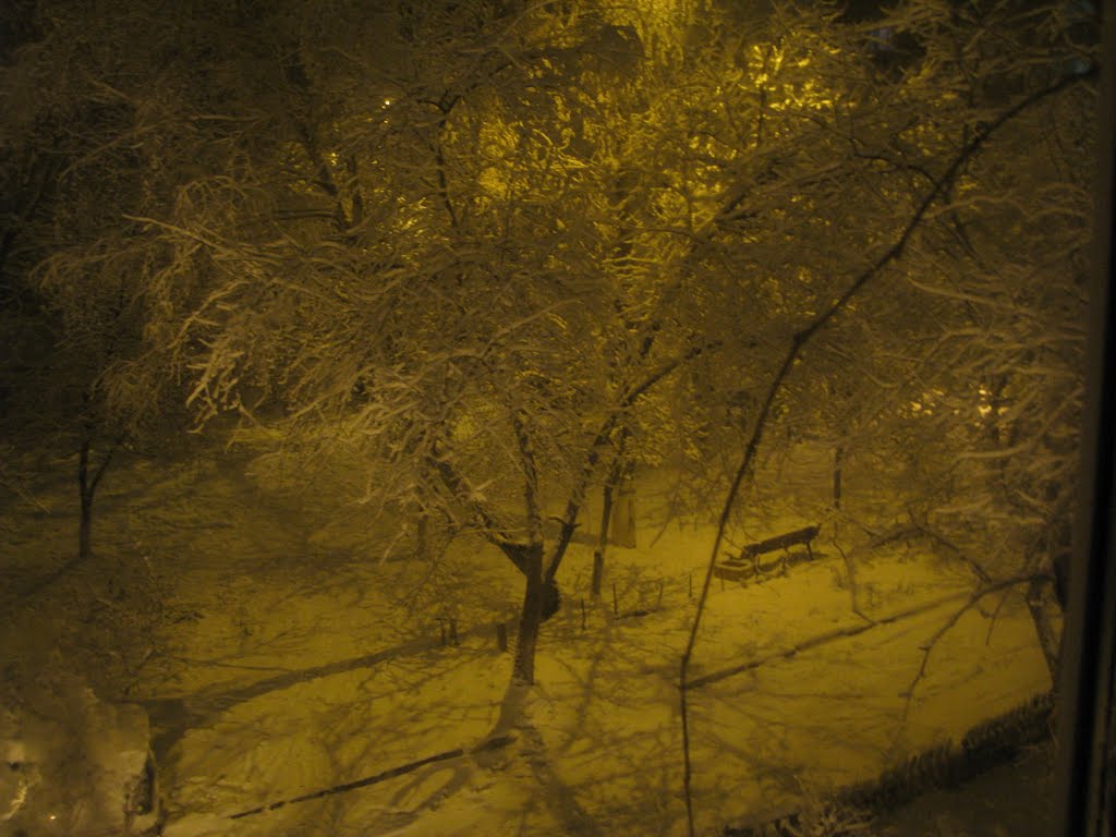 во дворе2