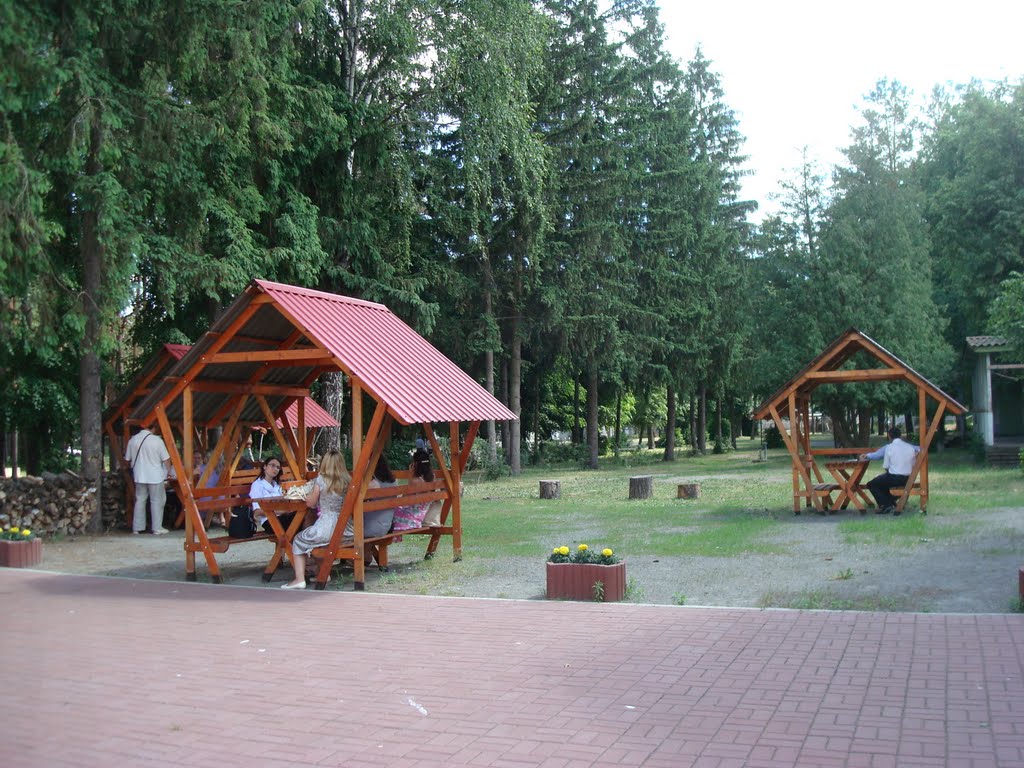 Ирпень, ул. Федорова,11, ЦХЖУ