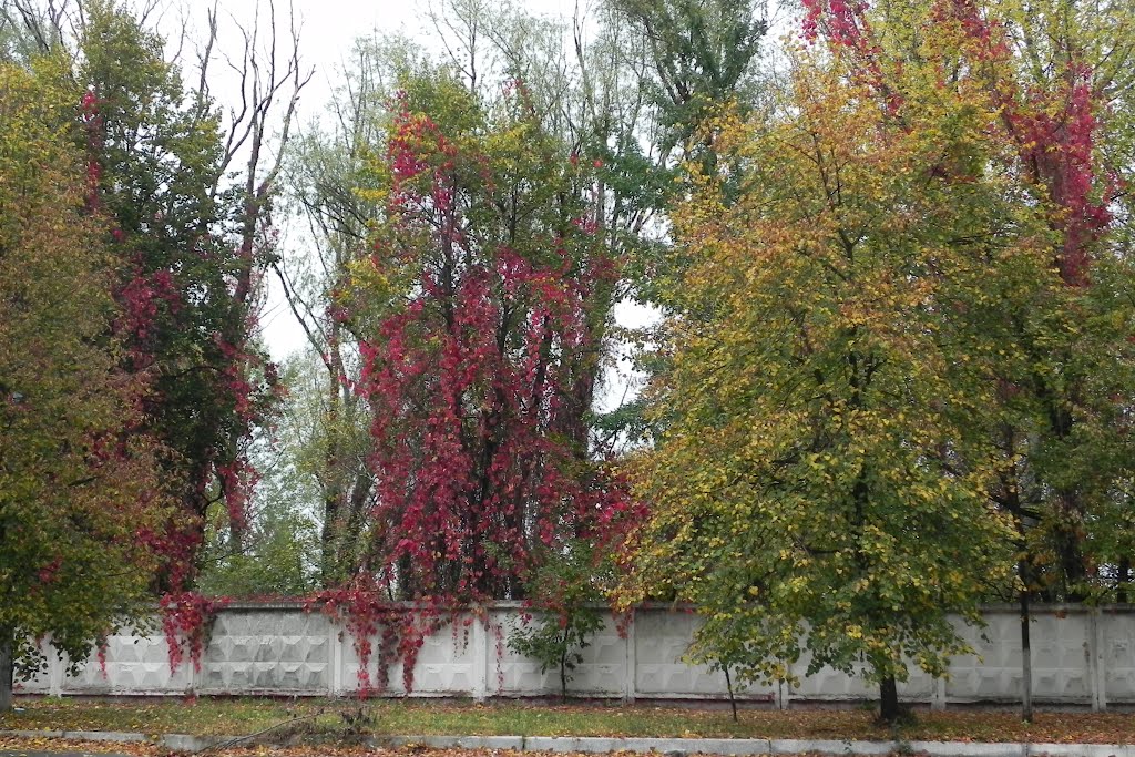 Осінь на "Прогресі"