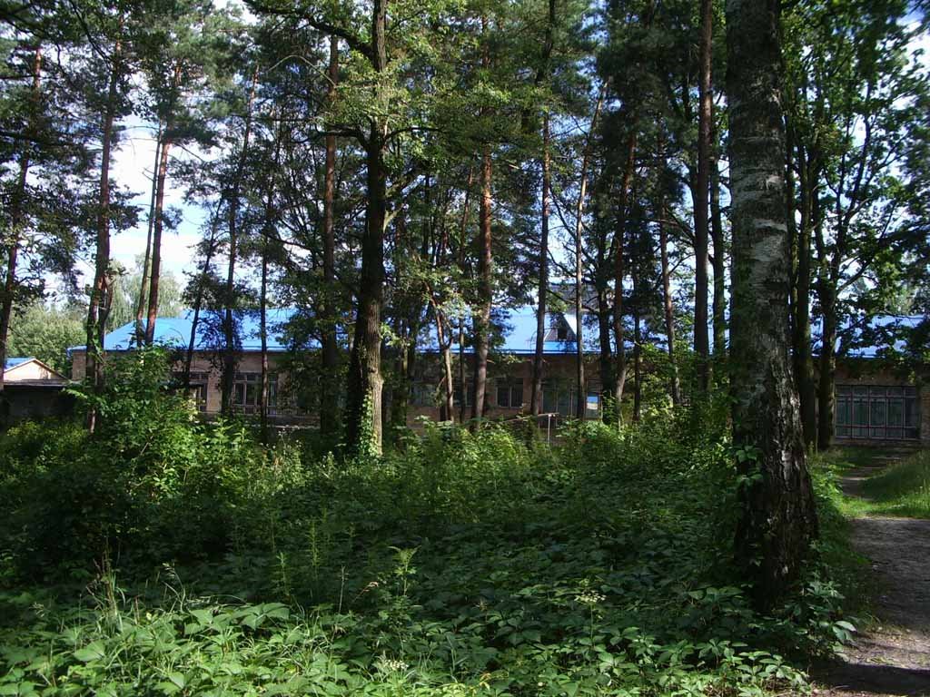 школа в лісі