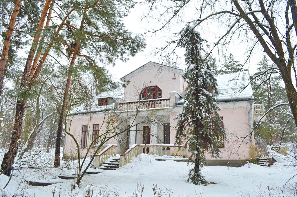 Ирпень. Дача начала 20в. /Irpen. Summer residence of the early 20th cen.