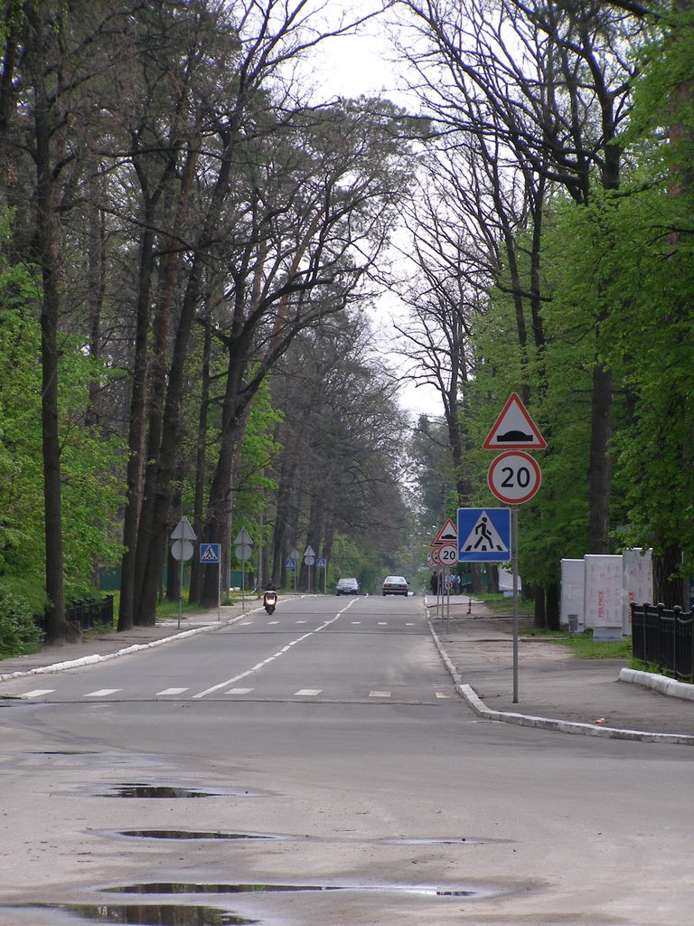 Дорога возле НУГСУ