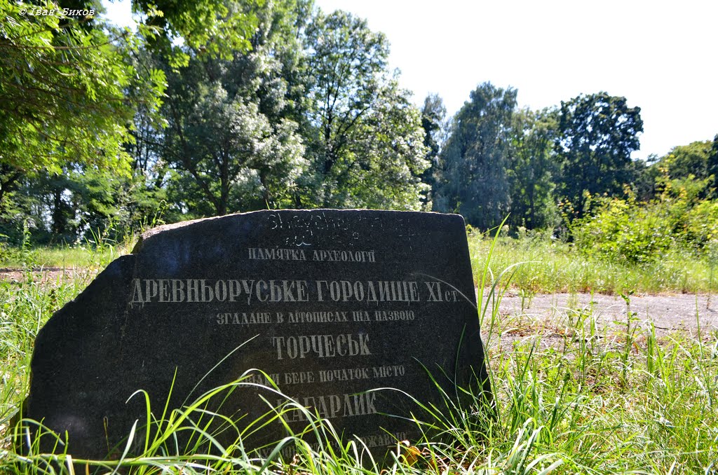 Давньоруське городище у Кагарлику / Ancient Rus settlement in Kagarlyk