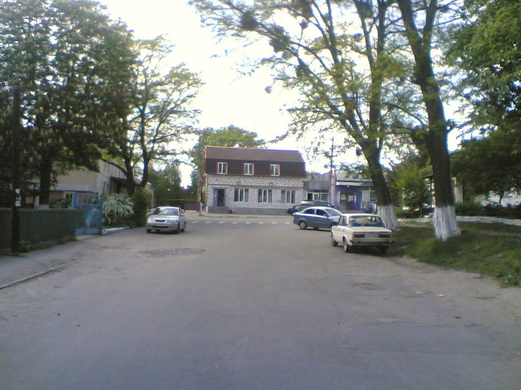 Біля Музею