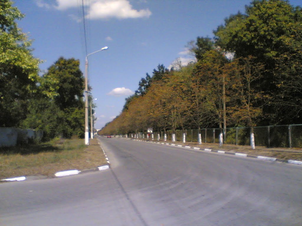 Цукрозаовд в бік Центру