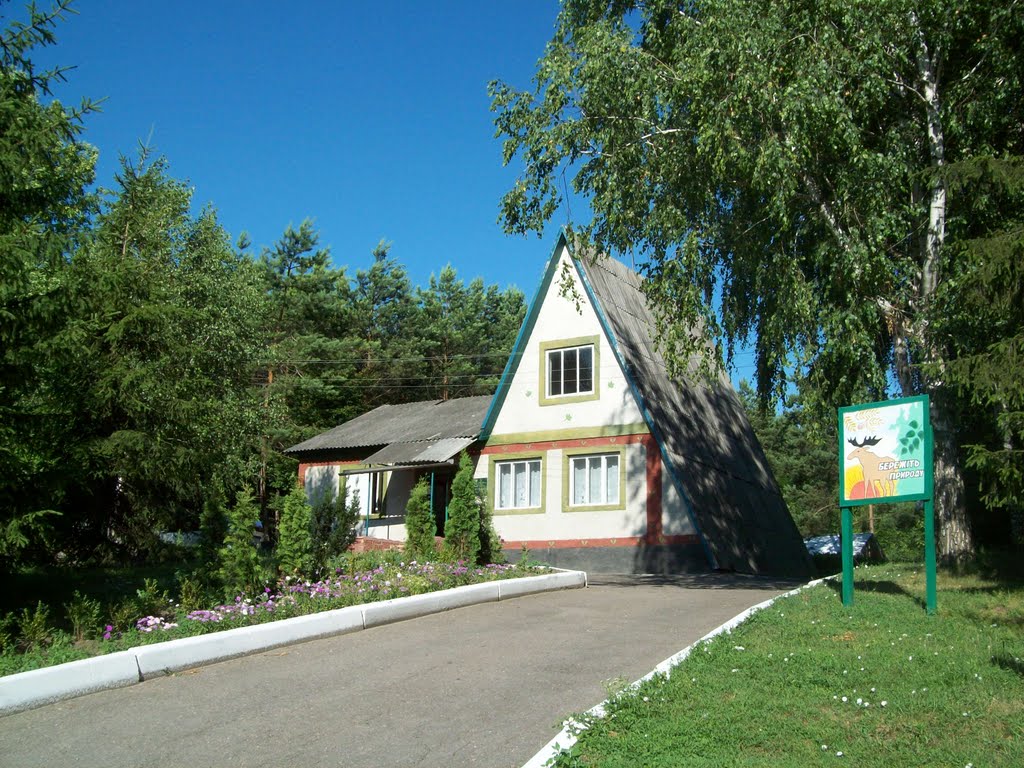 Кагарлицьке лісництво