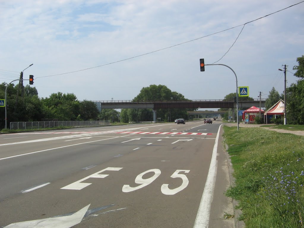 Трасса Е95