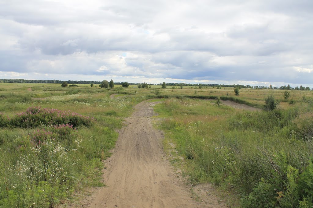 мототраса біля аеродрому чайка, 2014р