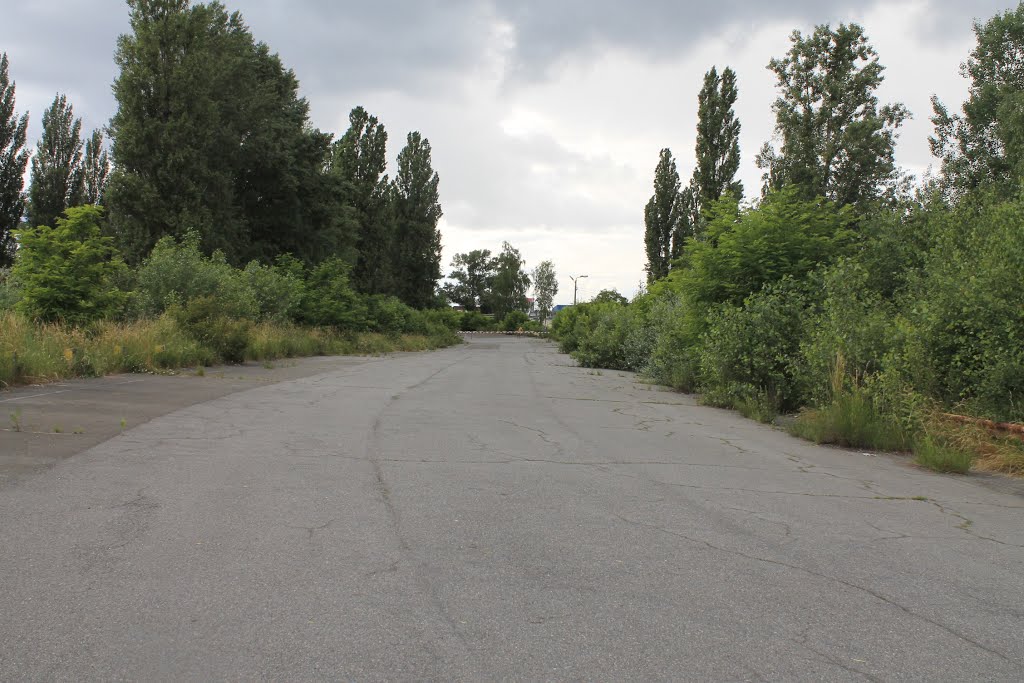 автотраса біля аеродрому чайка, 2014р
