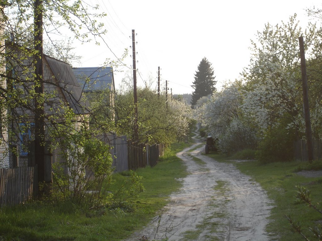 Spring