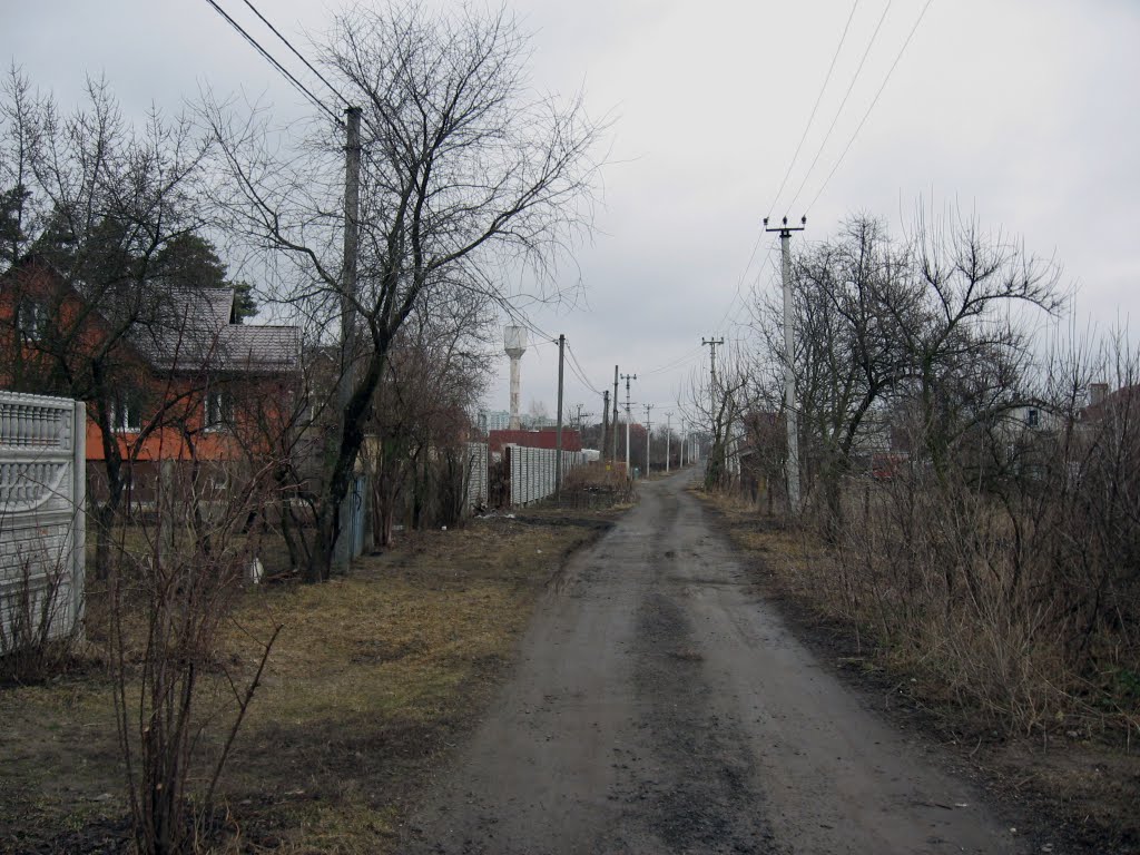 рання весна в садах