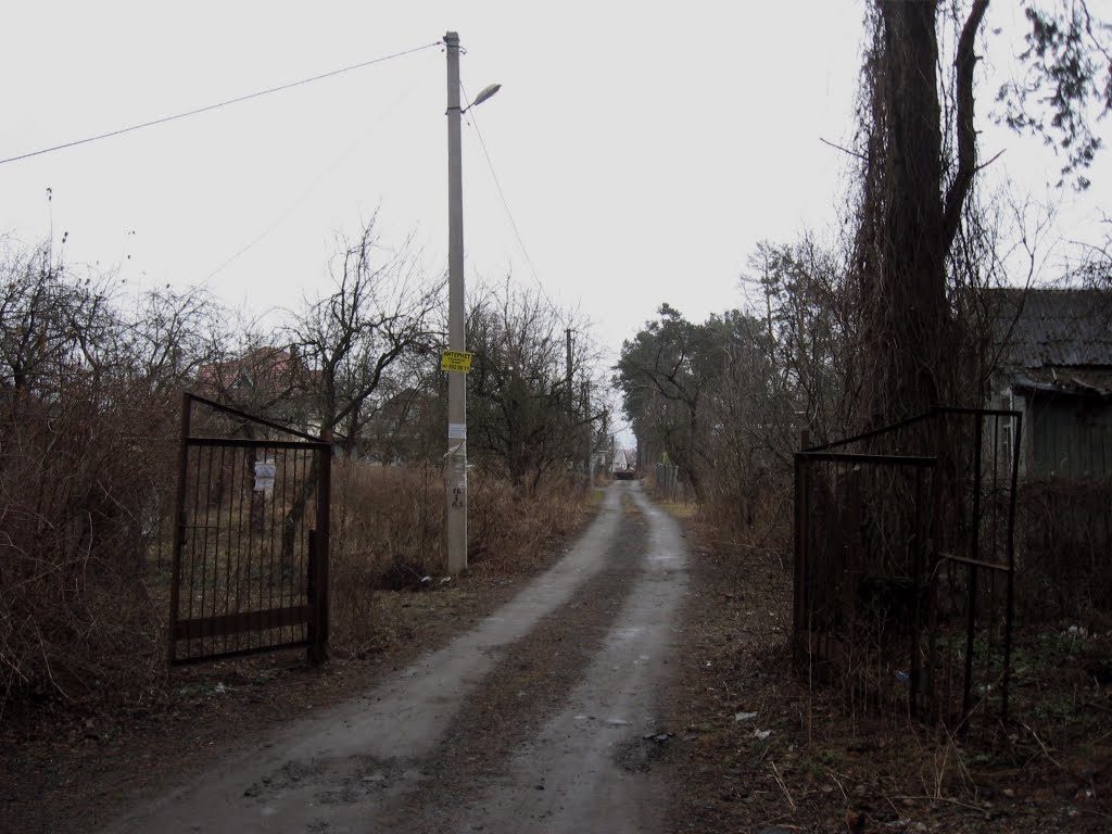 садове товариство