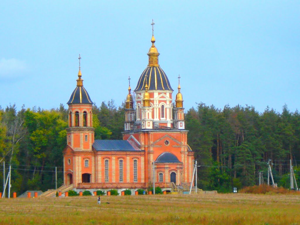 Петро-Павлівська Борщагівка