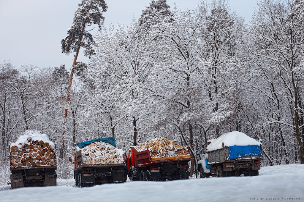 firewood for sale