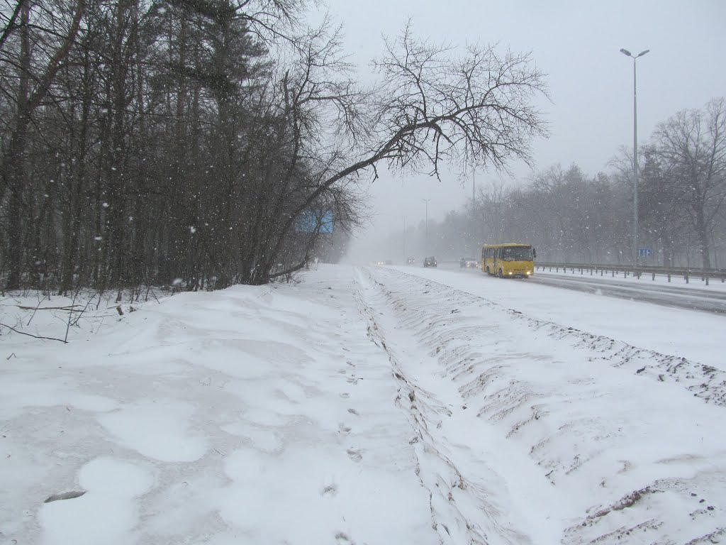 повно снігу уздовж  шосе * snowy highway