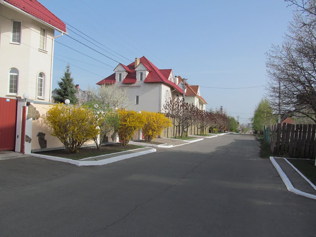 квітучі кущі, вул. Каштанова
