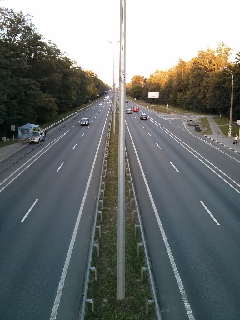 Житомирская трасса