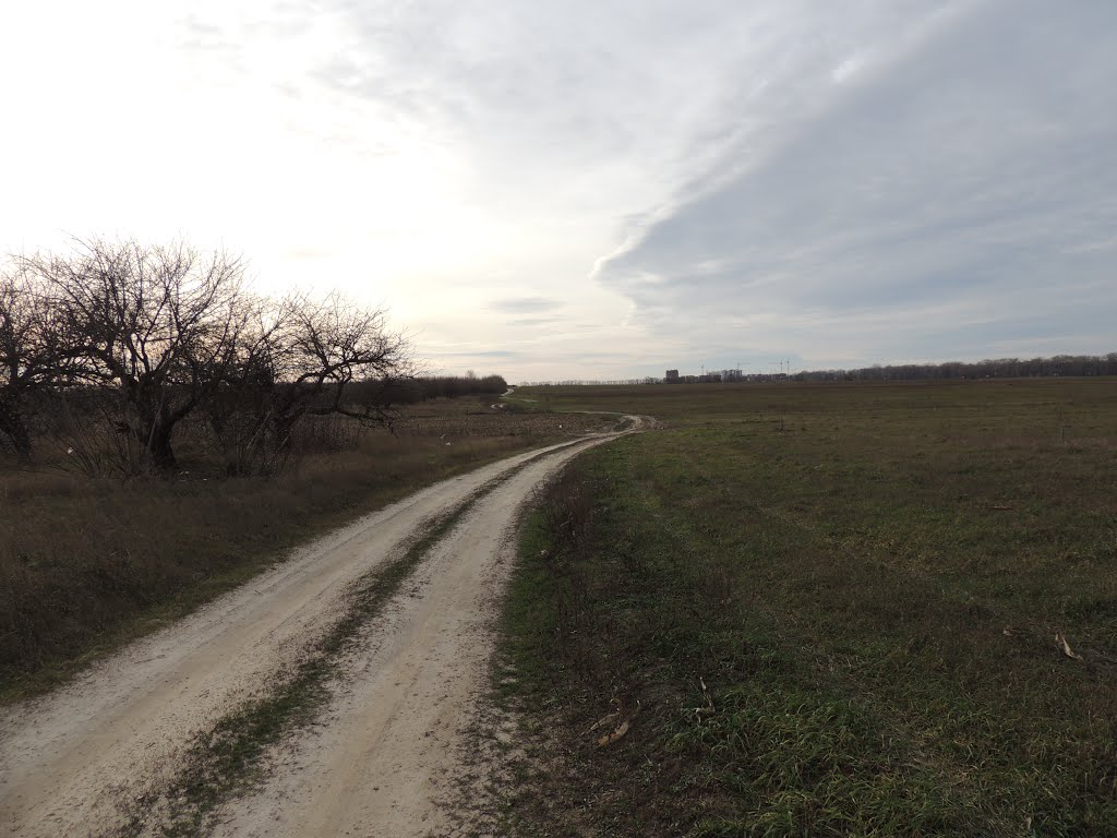 Дорога