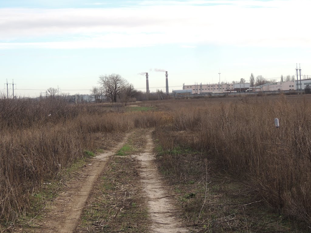 Дорога