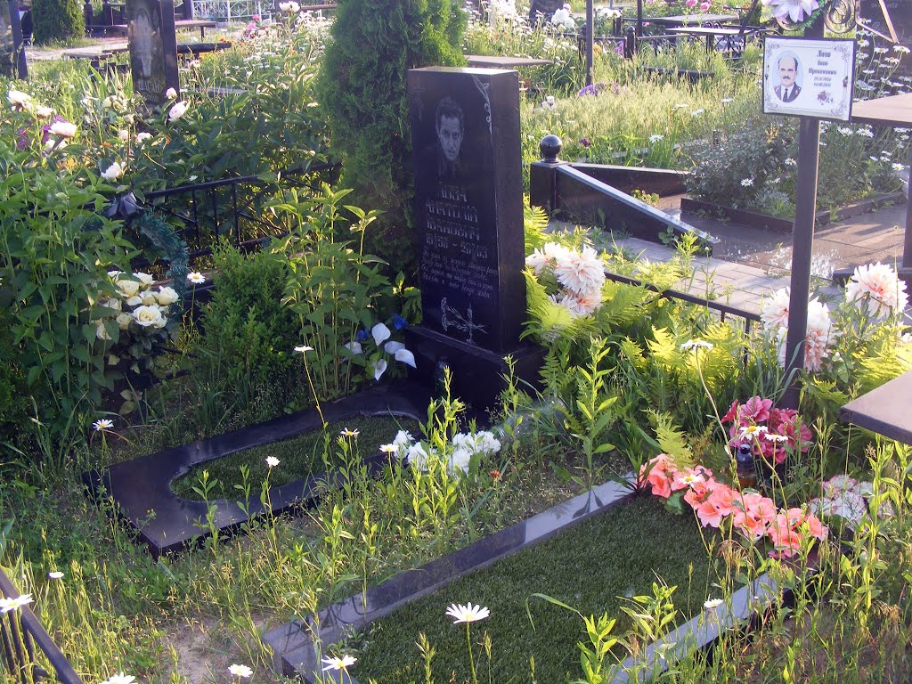 Кладовище у Вишневому