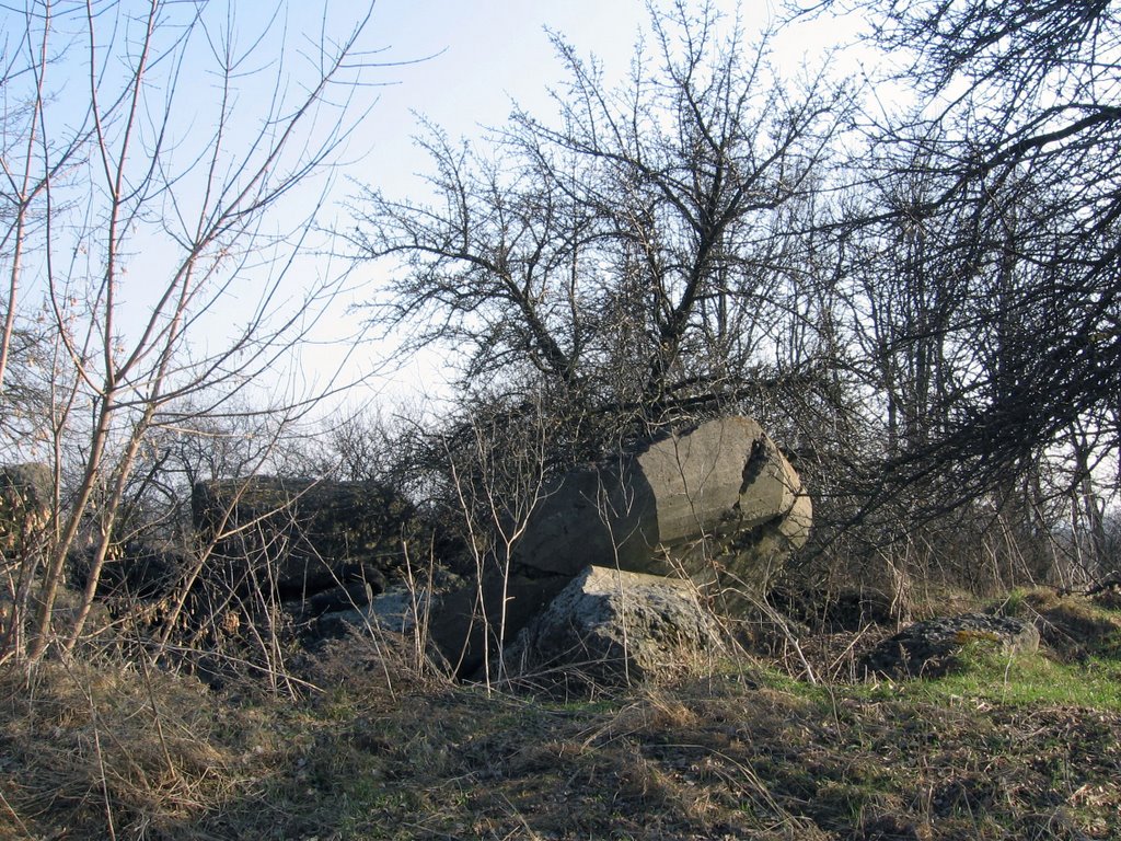 Vasylkiv