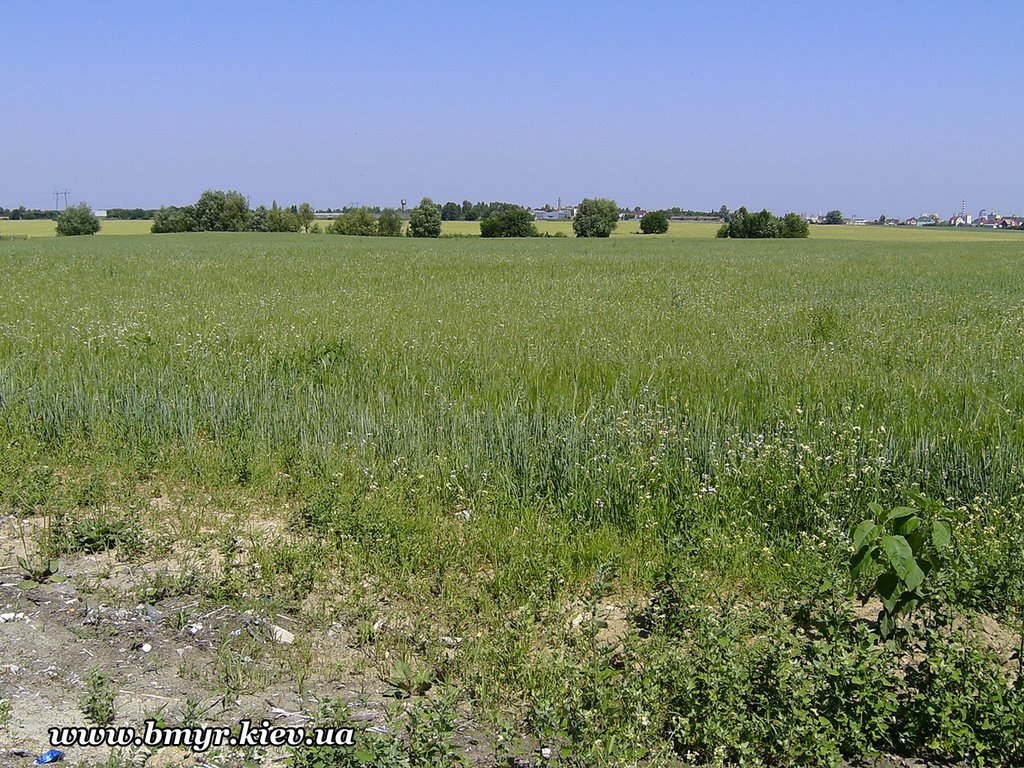 Fields near Vishnevyj