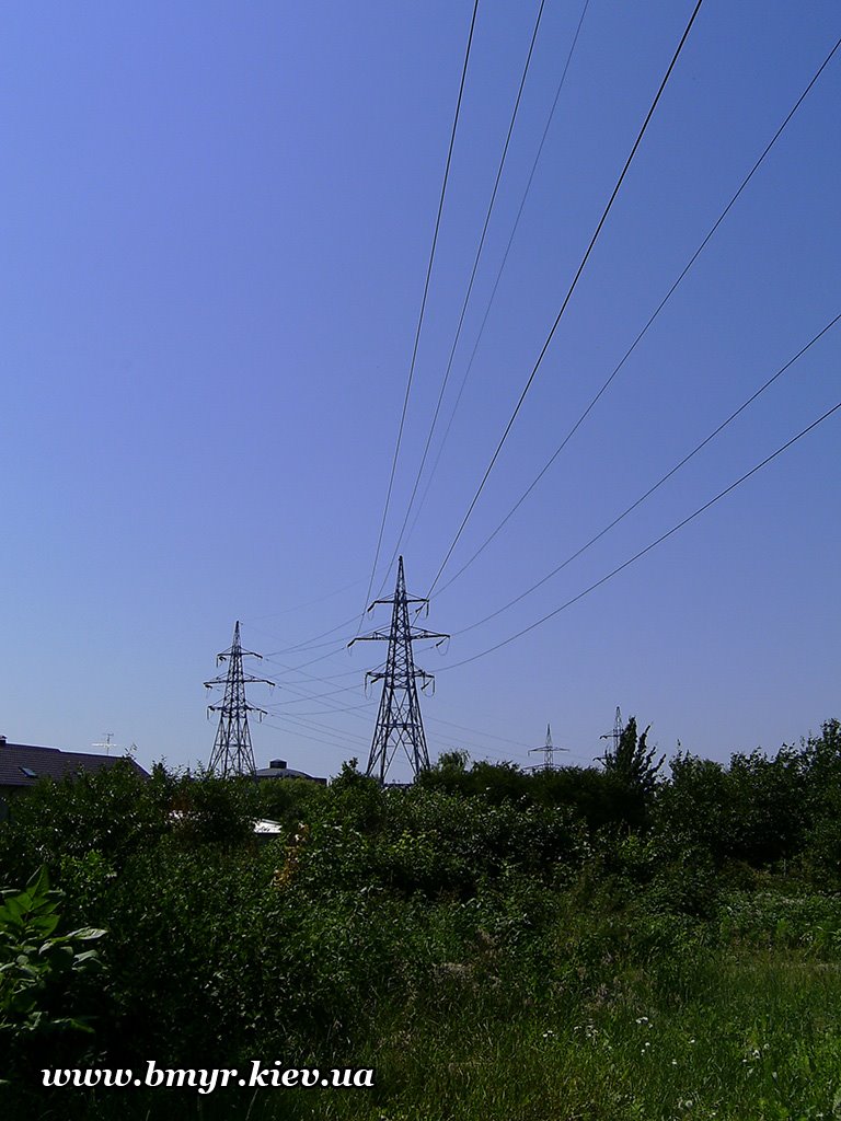 Fields near Vishnevyj