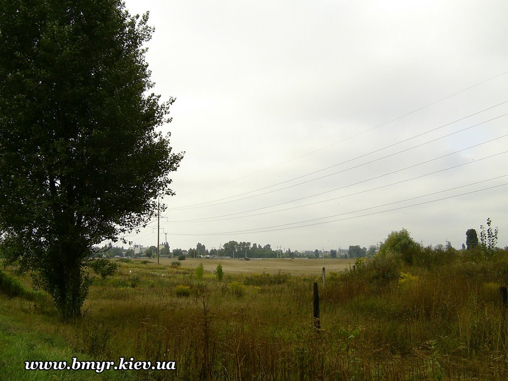 Fields near Vishnevyj