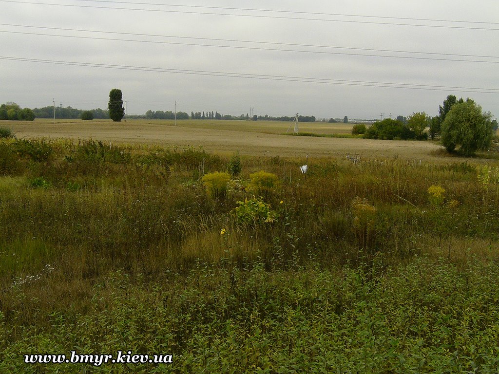 Fields near Vishnevyj