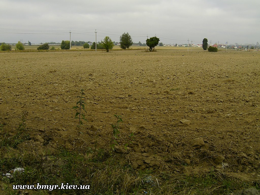 Fields near Vishnevyj