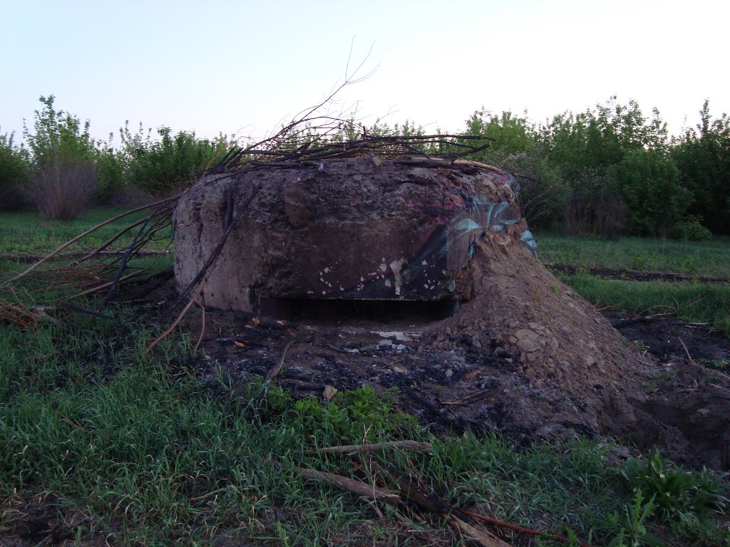 ДОТ 295