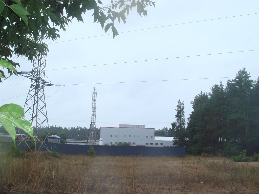 Bila Krynytsia