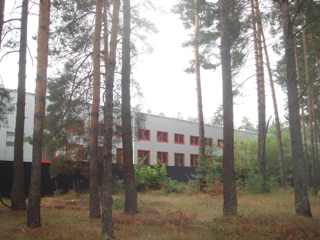 Корпуса склозавода.