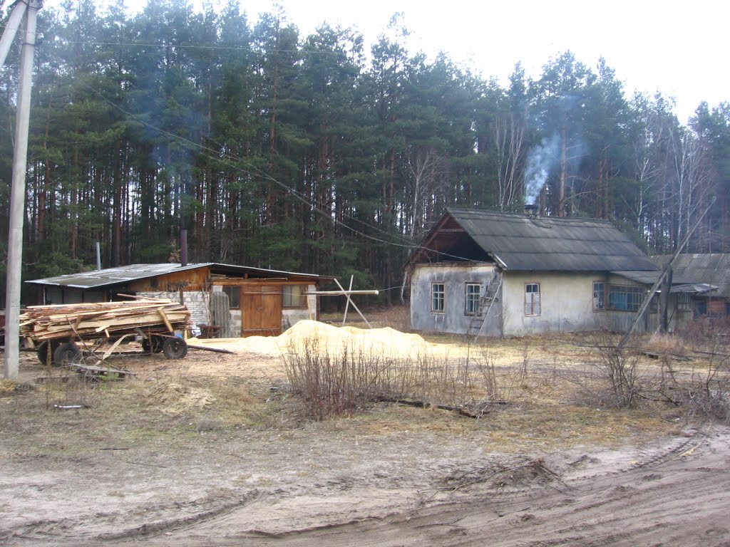 Пилорама
