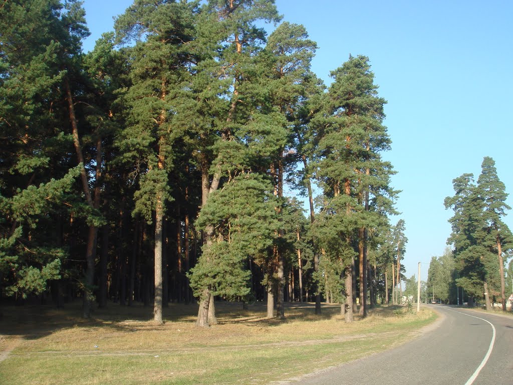 в центре