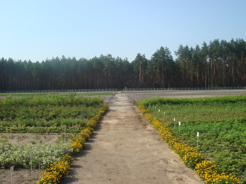 питомник