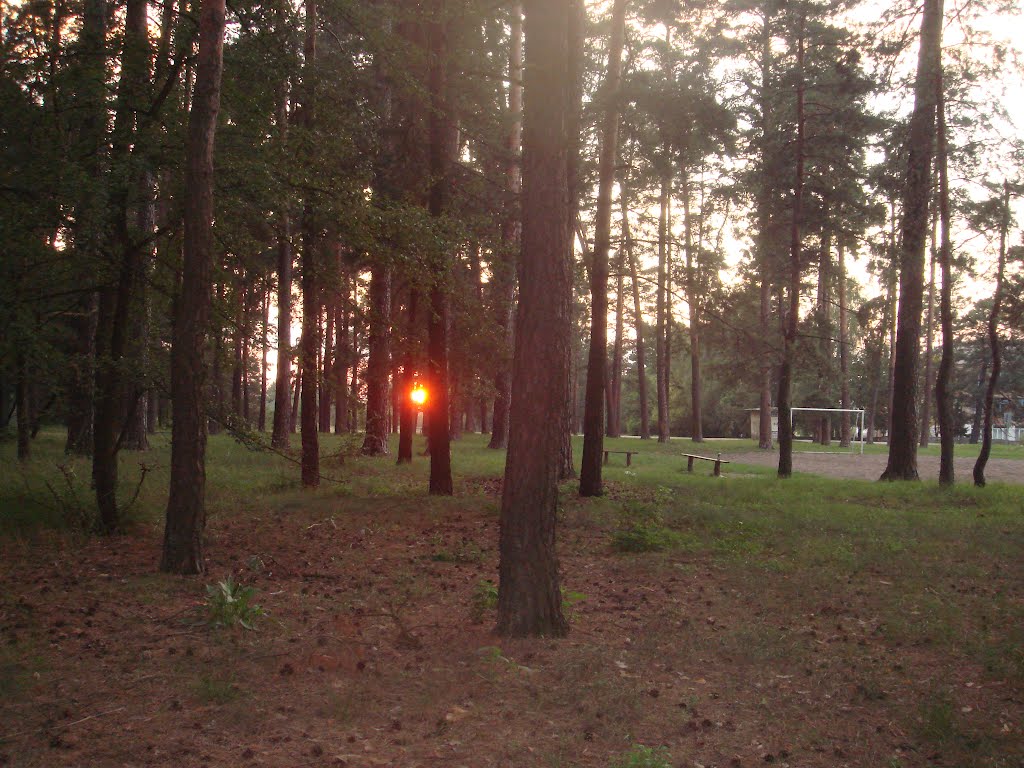НЛО