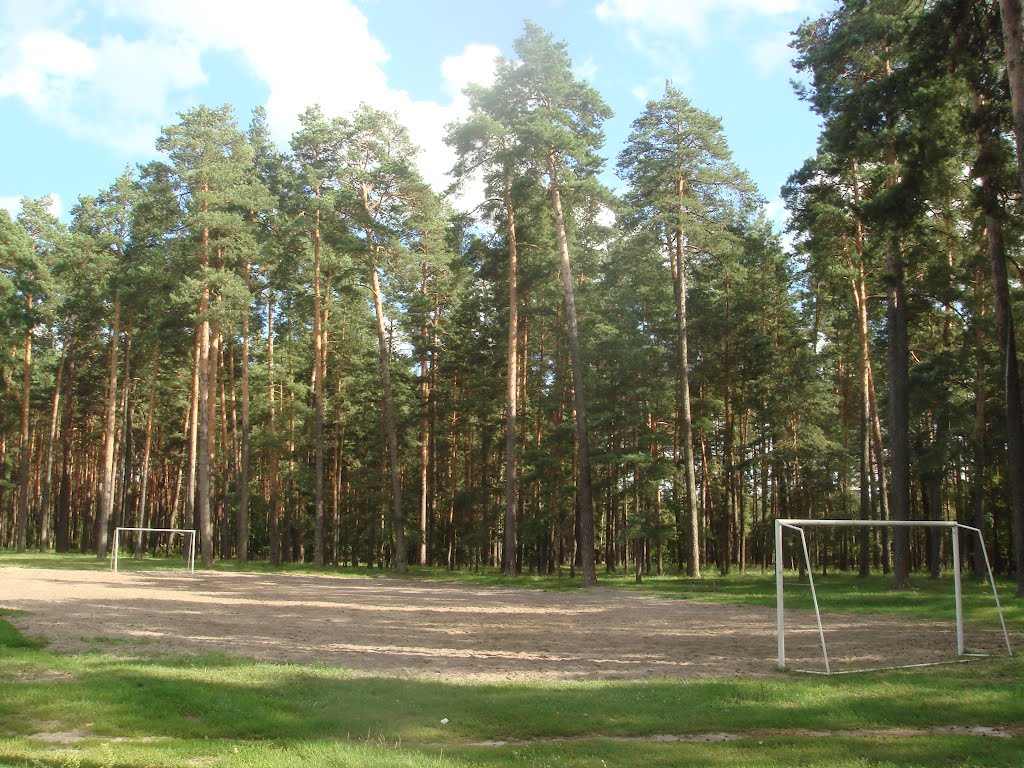 спортарена